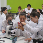 PROFESSORES