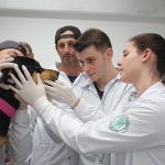 LABORATÓRIO DE ANATOMIA E FISIOLOGIA ANIMAL