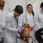 LABORATÓRIO DE PRÁTICAS VETERINÁRIAS