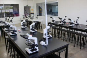microscopia2
