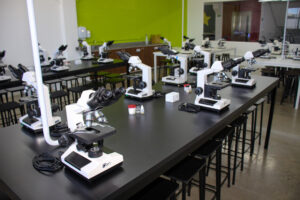 microscopia3